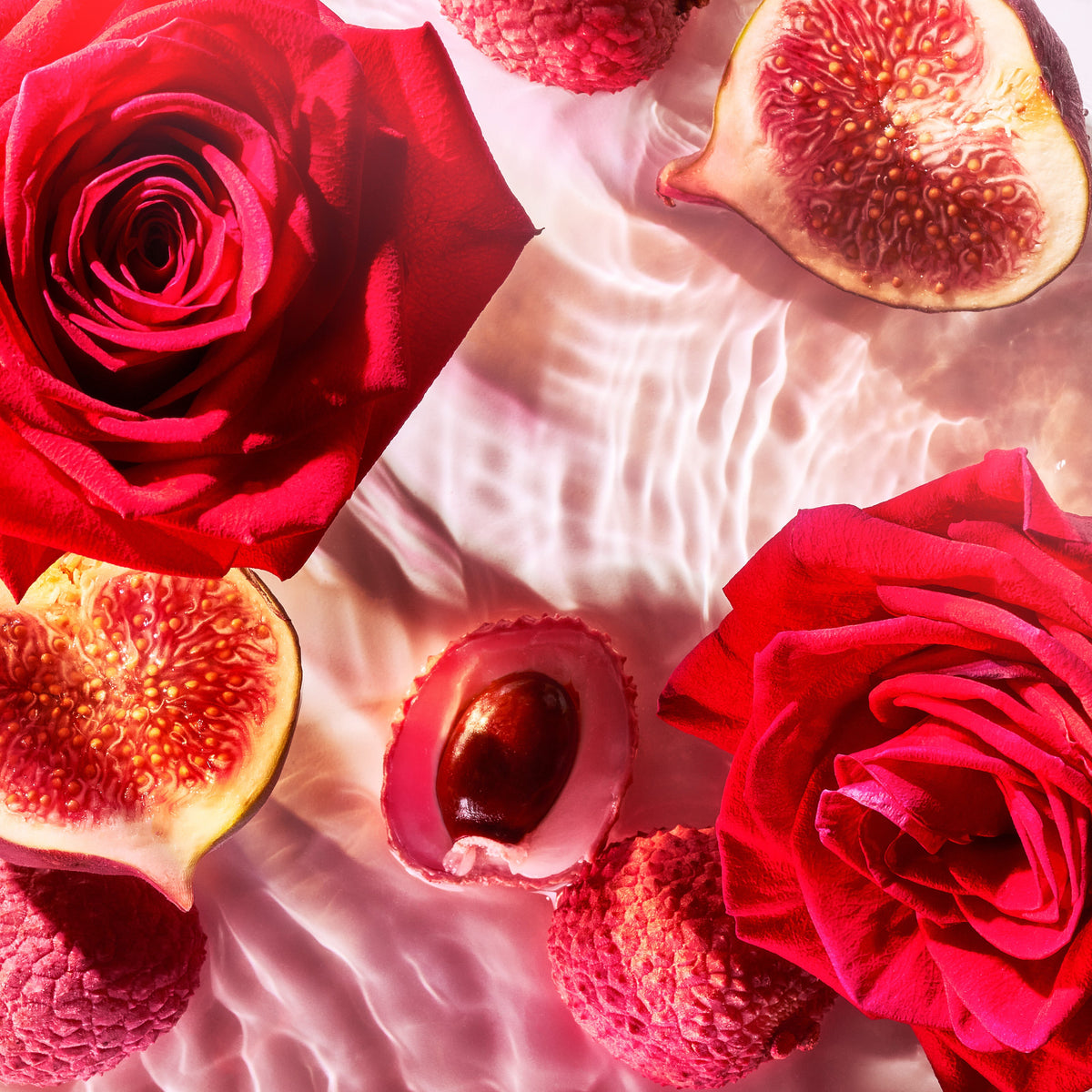 Elysium Absolue Pour Femme, Roja Parfums