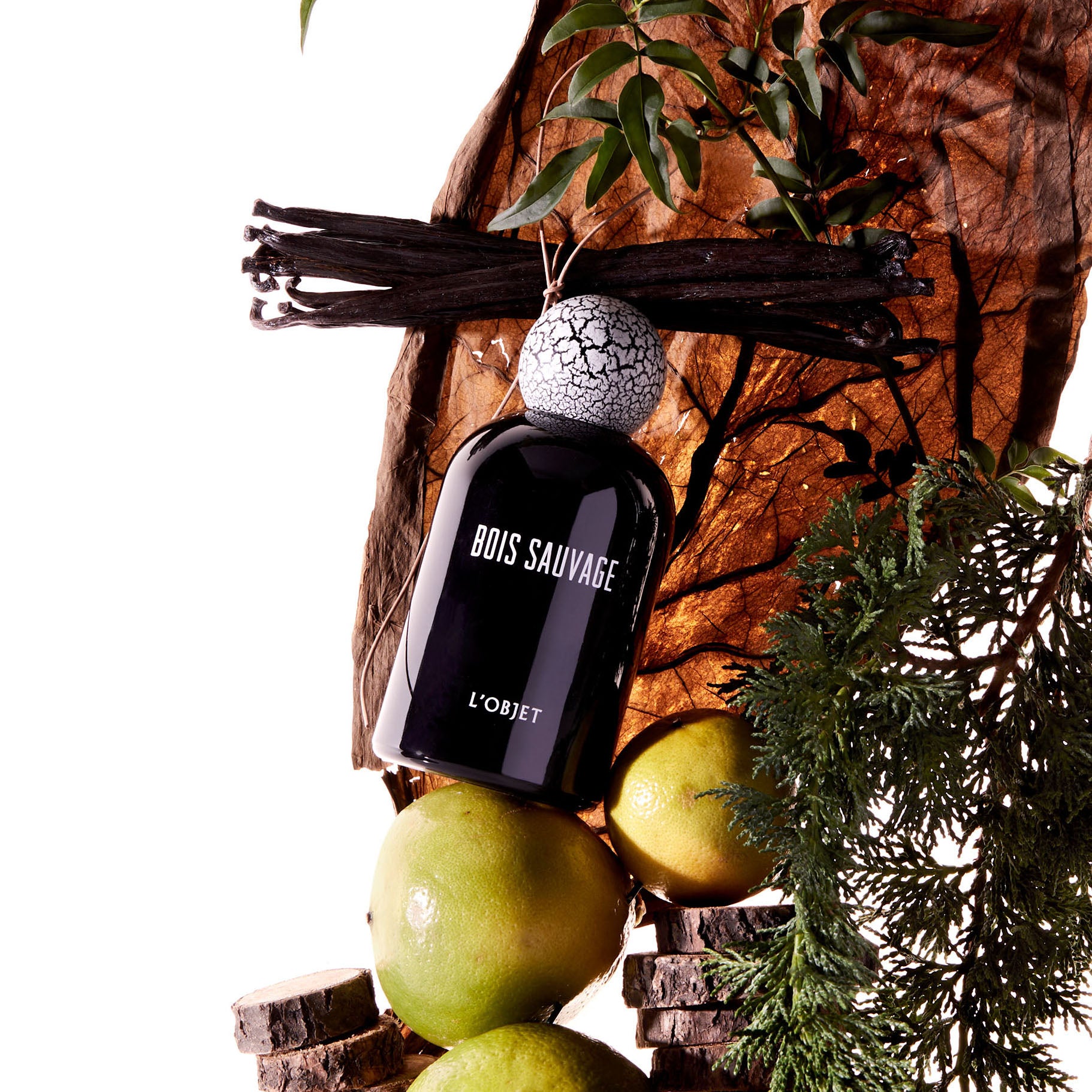 Bois Sauvage, L'Objet