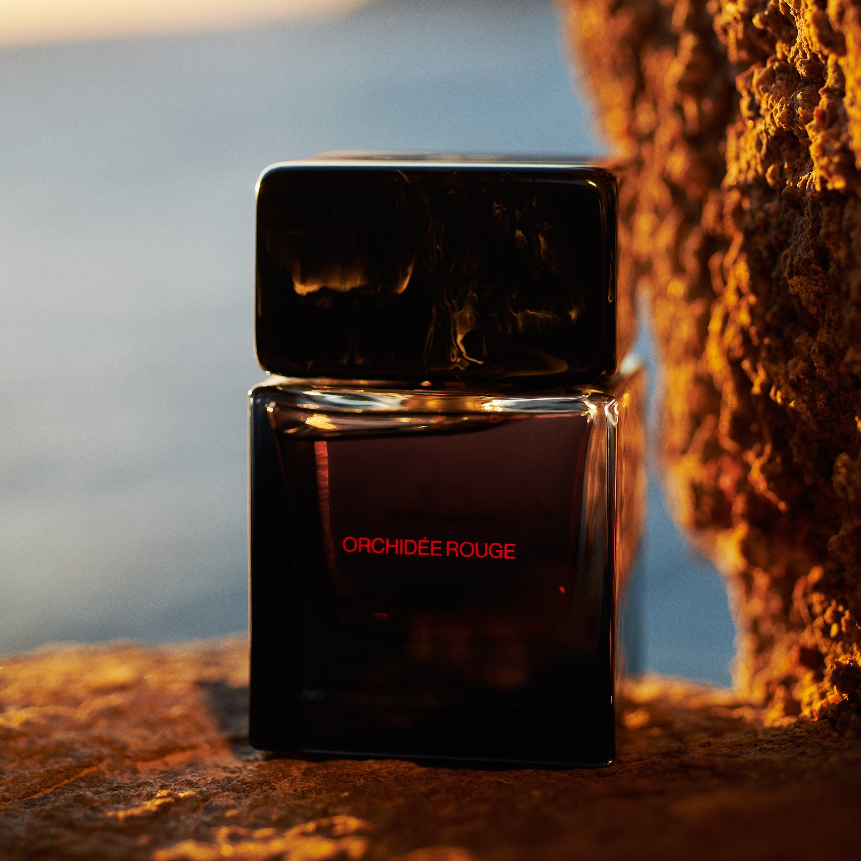 Orchidée Rouge Parfum, Sora Dora, Collection Universelle