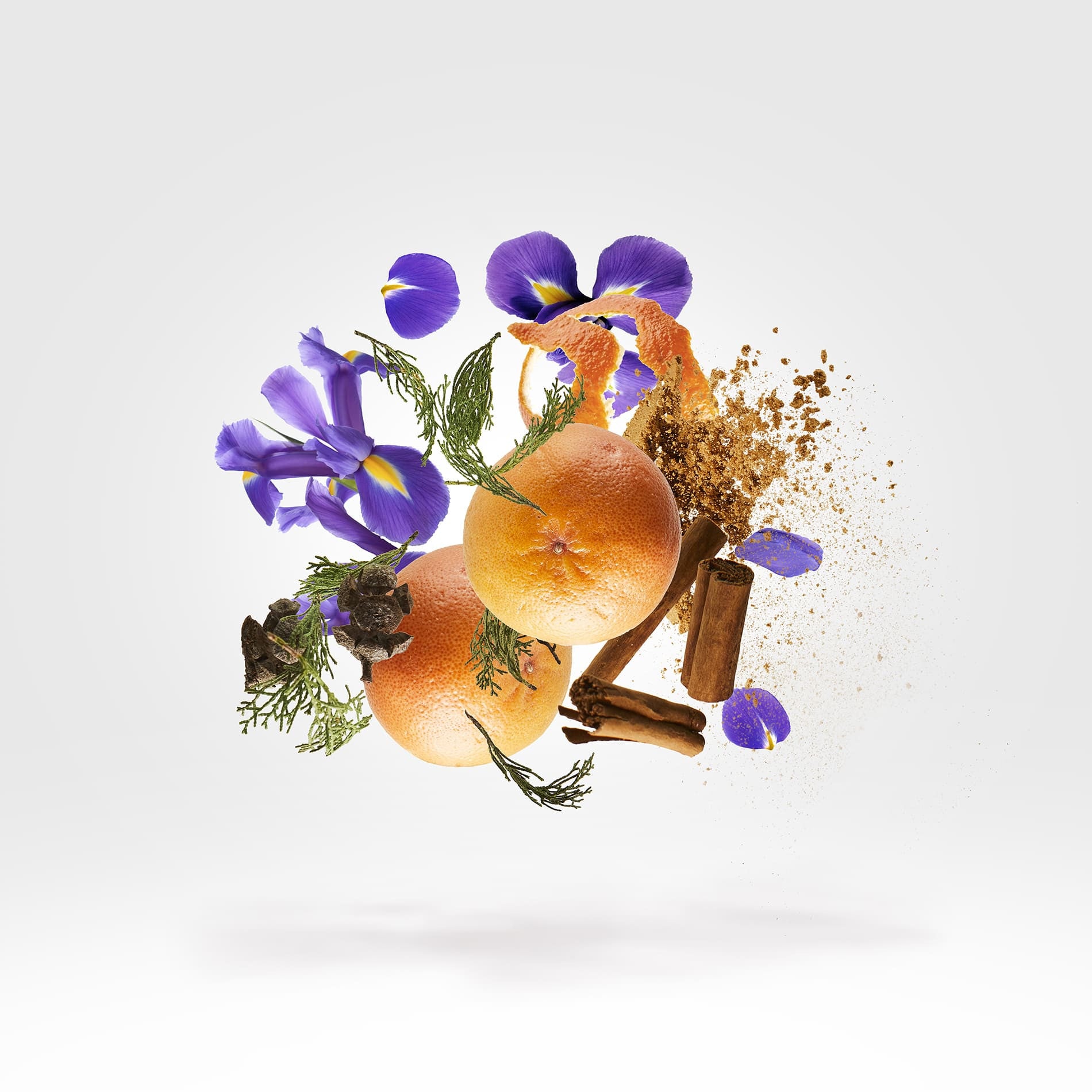 P.33 Xerjoff Sketchbook Blank Page Edition