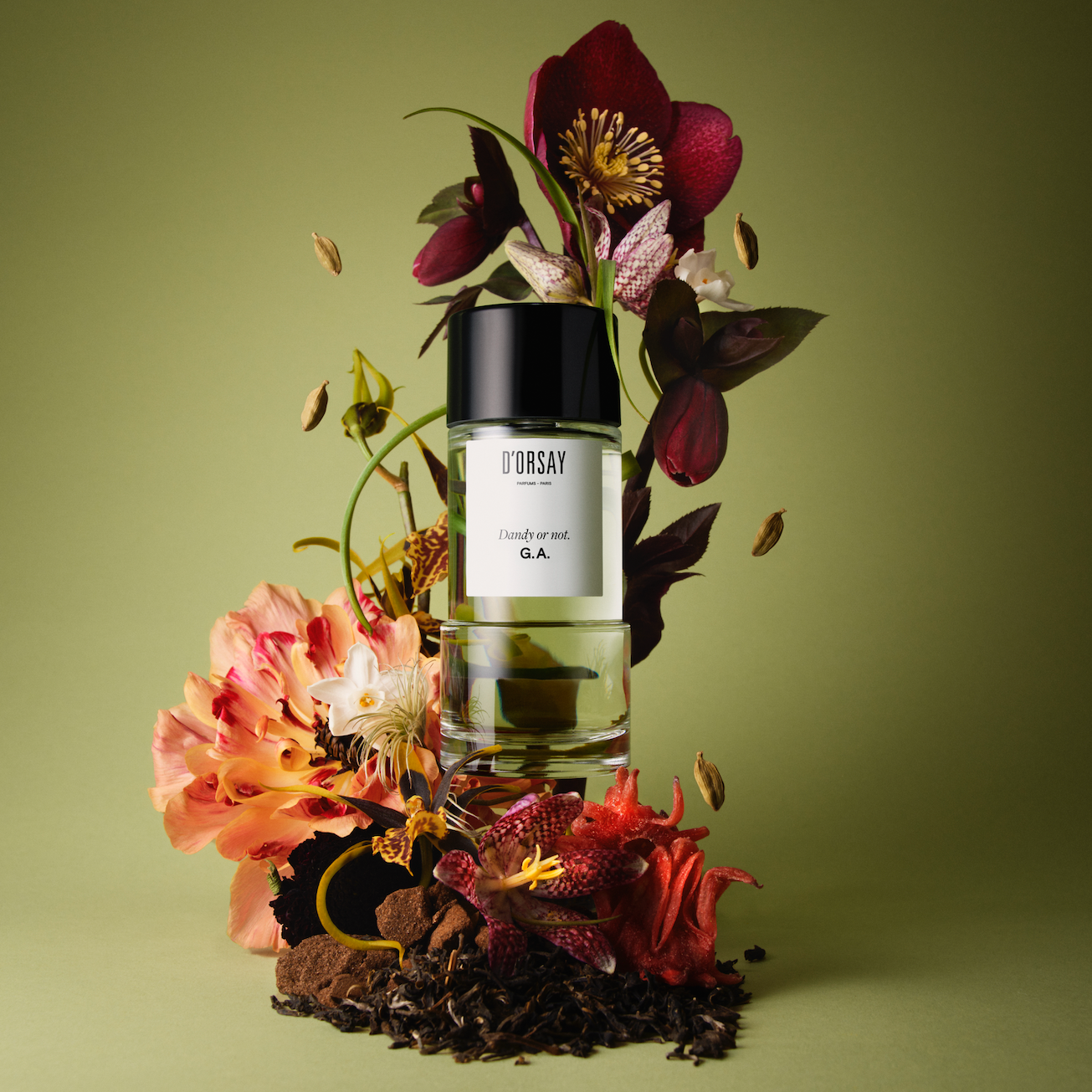 Perfume G.A - Dandy or not, D'Orsay