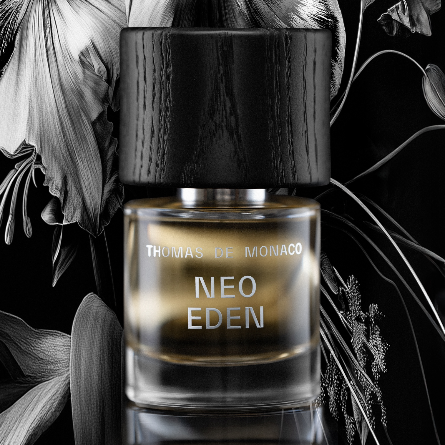 Neo Eden, Thomas de Monaco