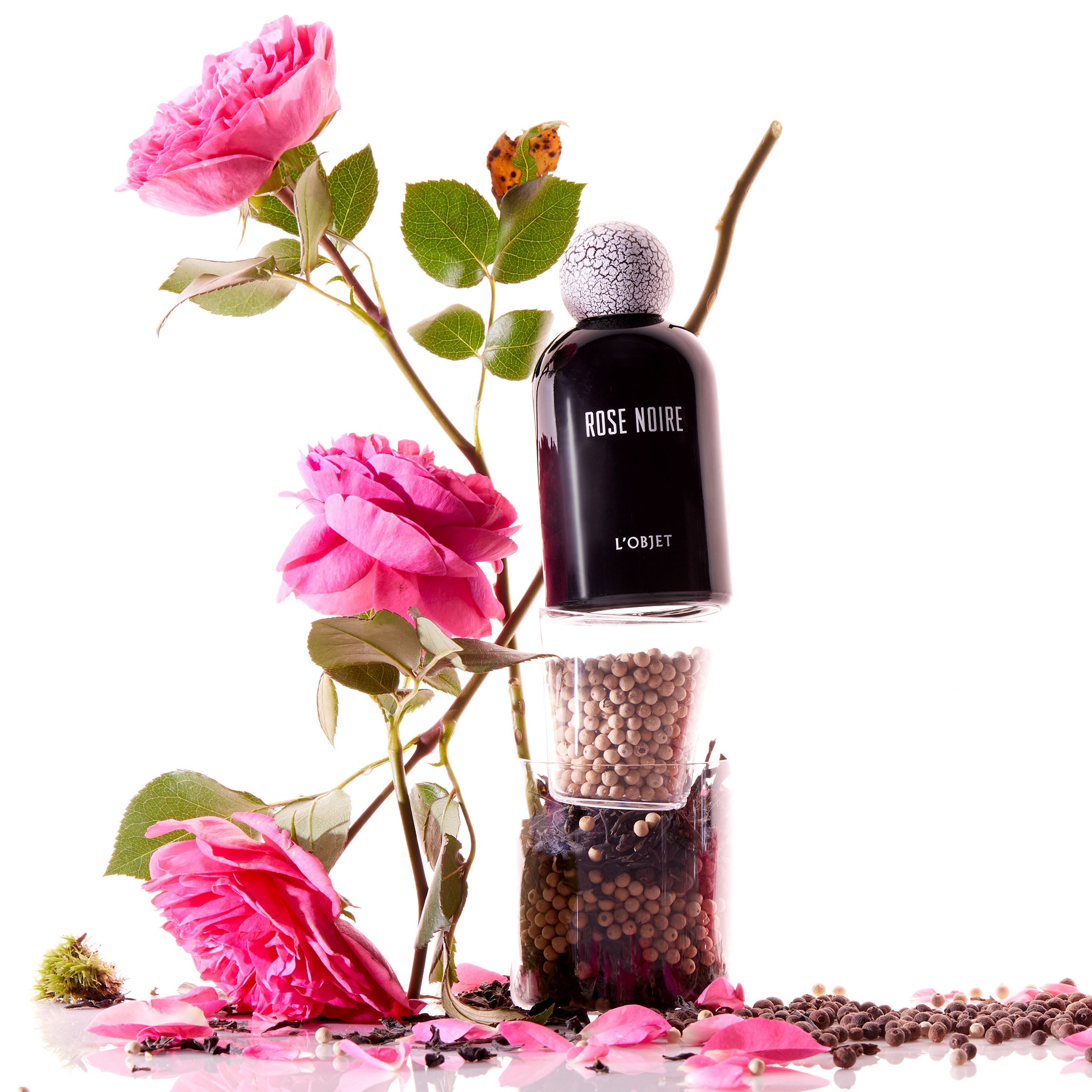 Rose Black, L'Objet