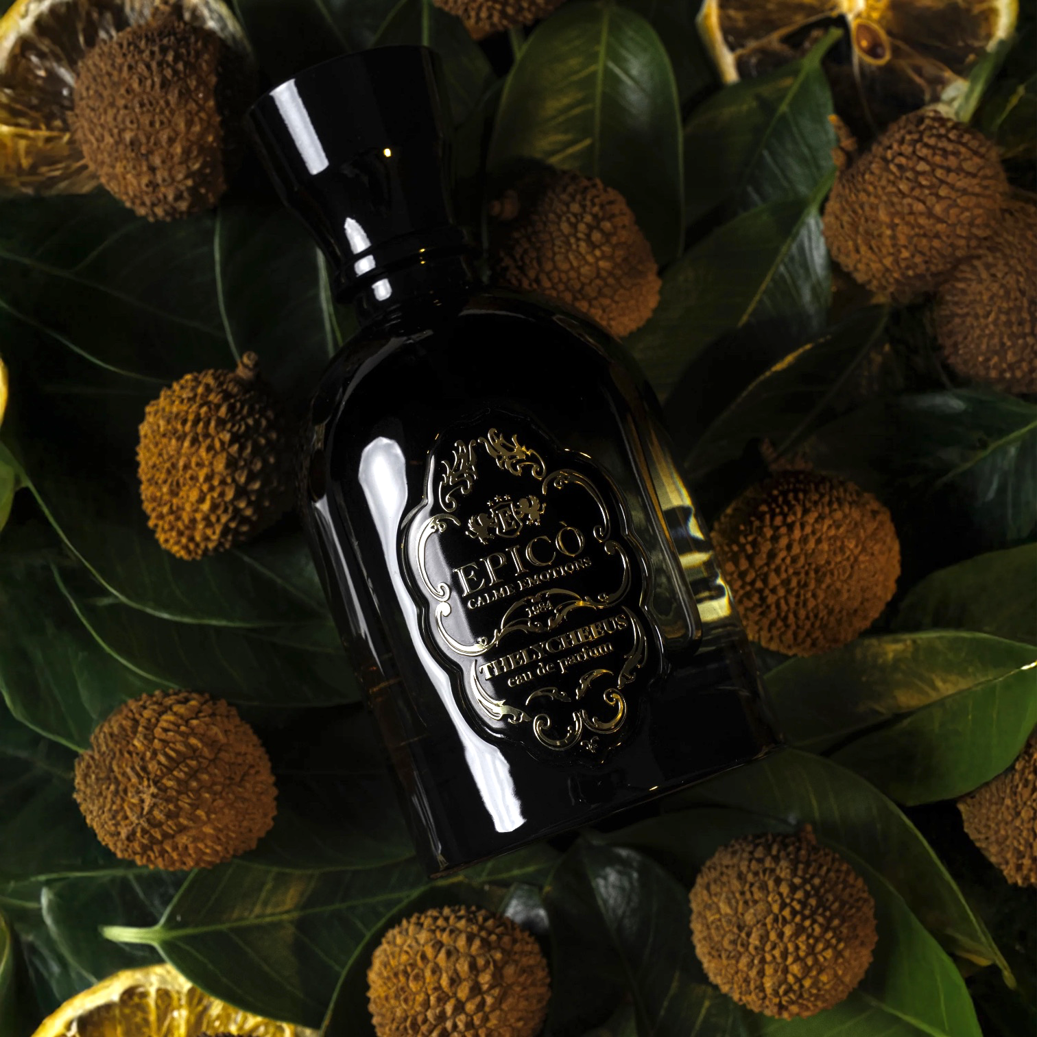 Thelycheeus, Epic Perfume