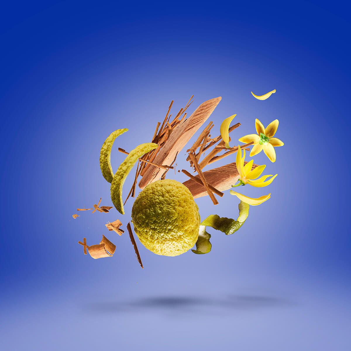 Xerjoff-XXY-1717-Stone-Label_b