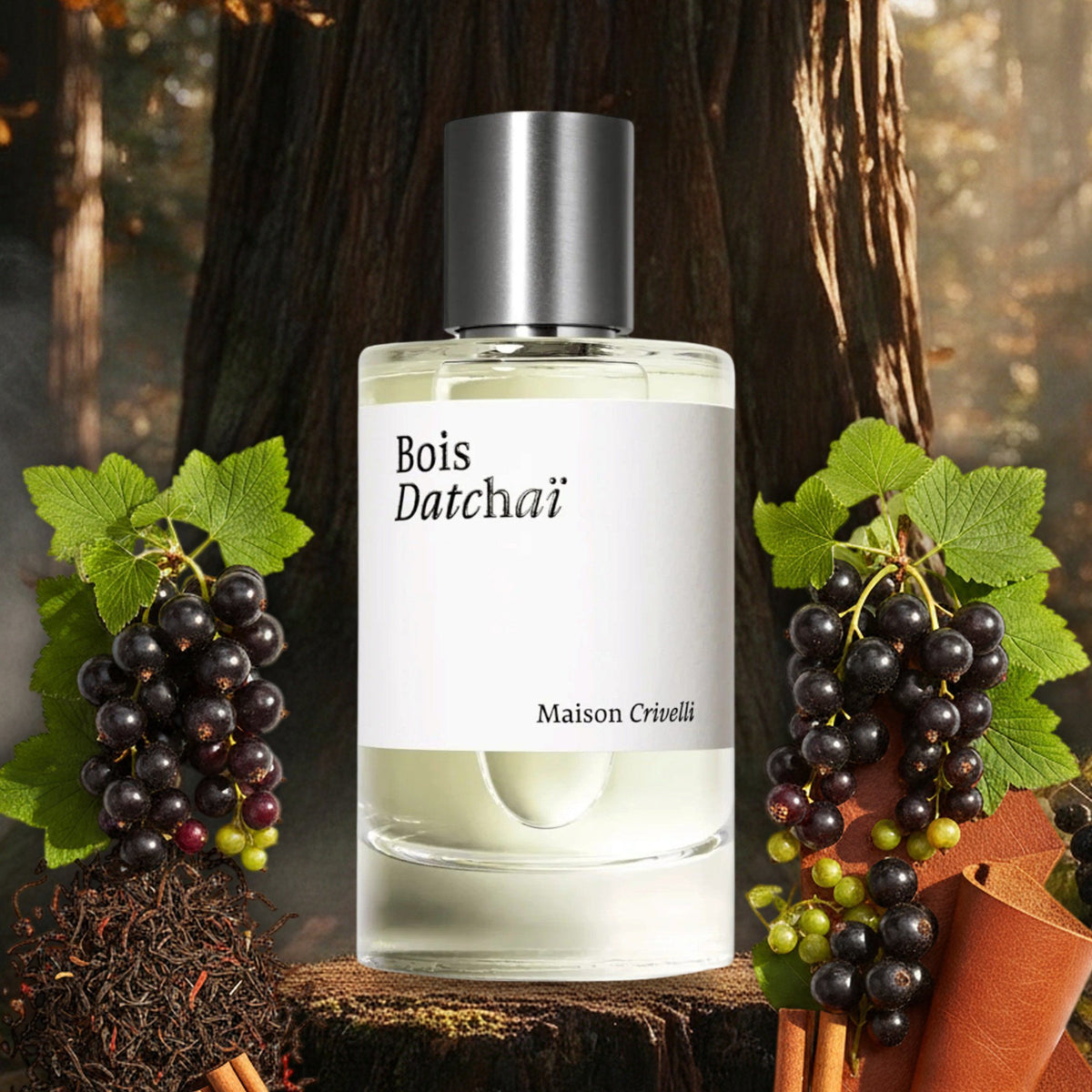Bois Datchaï von Maison Crivelli – Flakon mit Johannisbeeren, Schwarztee, Zimt, Zedernholz und Leder im herbstlichen Urwald