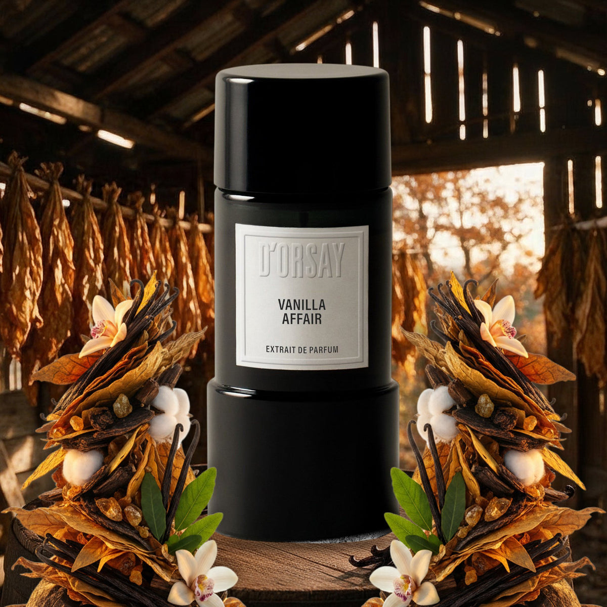 Vanilla Affair von D’Orsay in einer Tabak-Trockenscheune im goldenen Herbstlicht, mit Vanilleschoten, Tabak und Amber