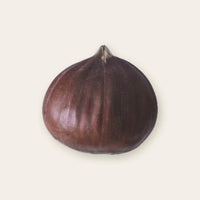 Chestnut