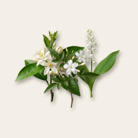 weiße Blumen