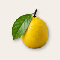 Zitrone