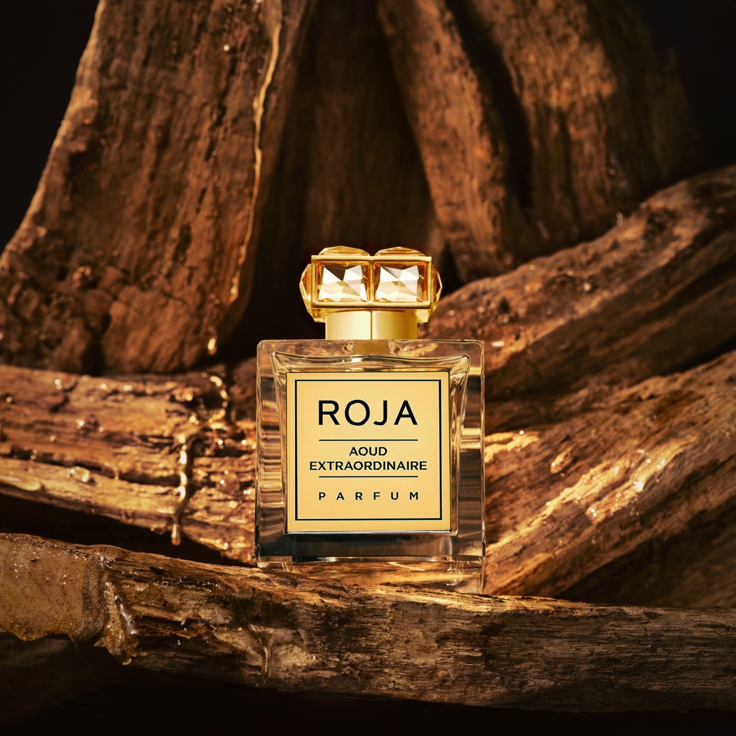 Aoud Extraordinaire, Roja Parfums