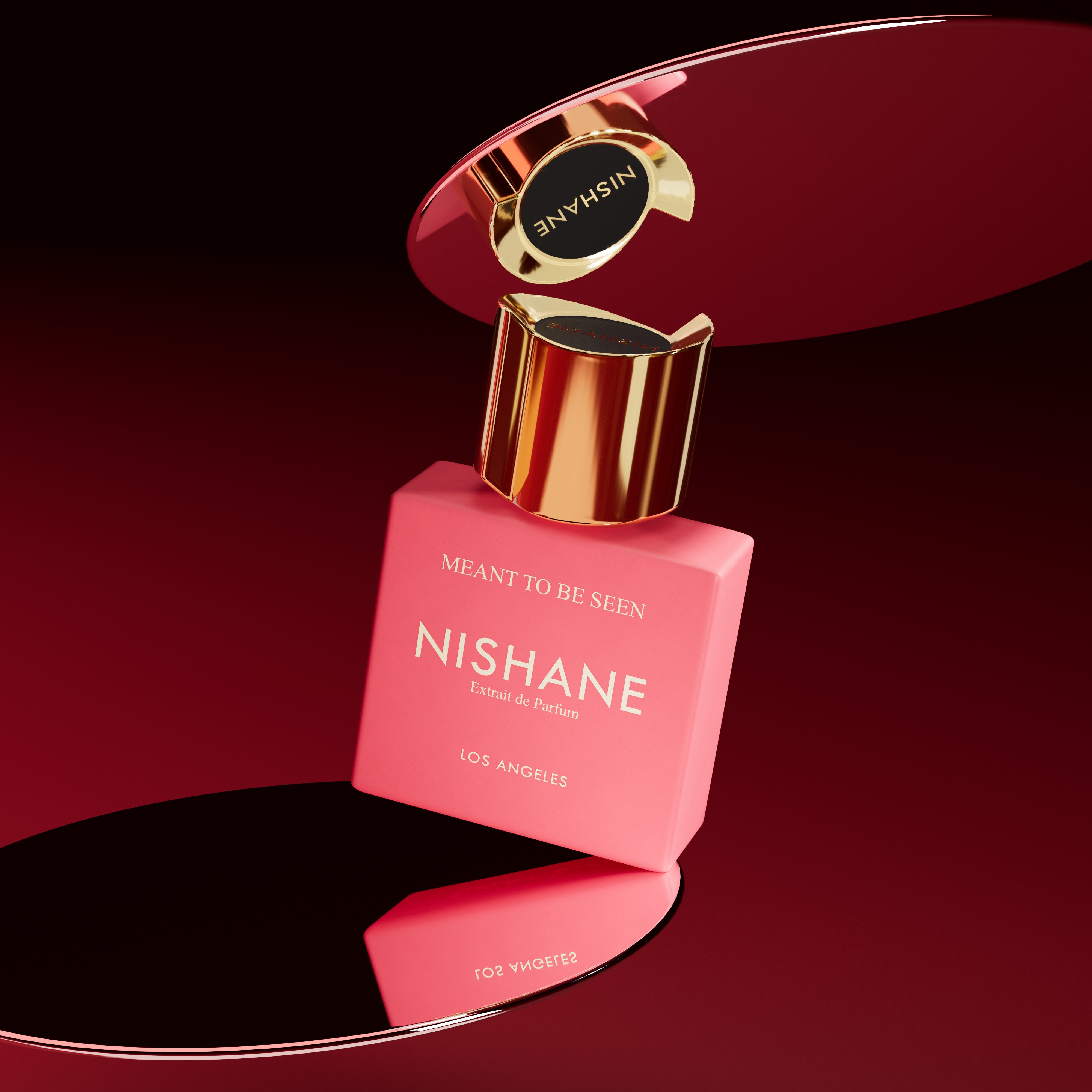 Meant To Be Seen, Nishane