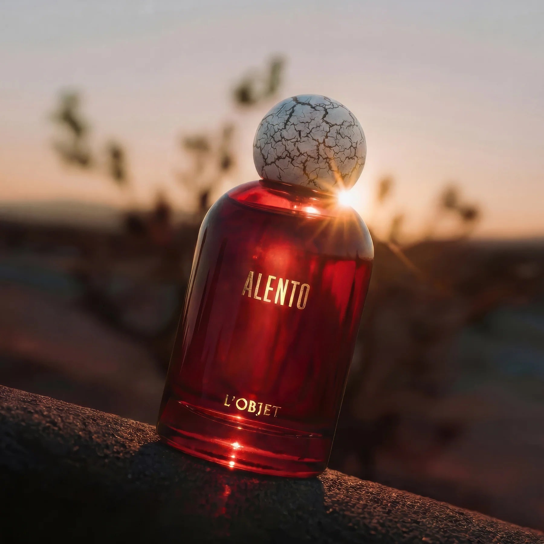 Alento, The Object