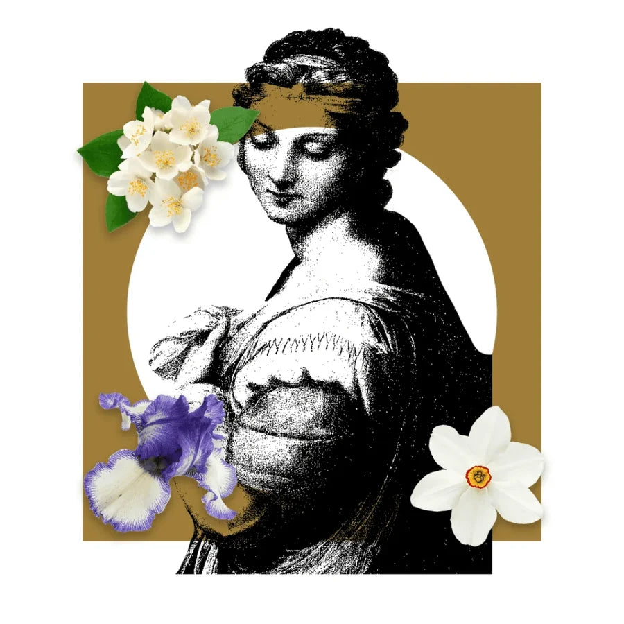 Donna Margherita, Classic Collection, Pantheon