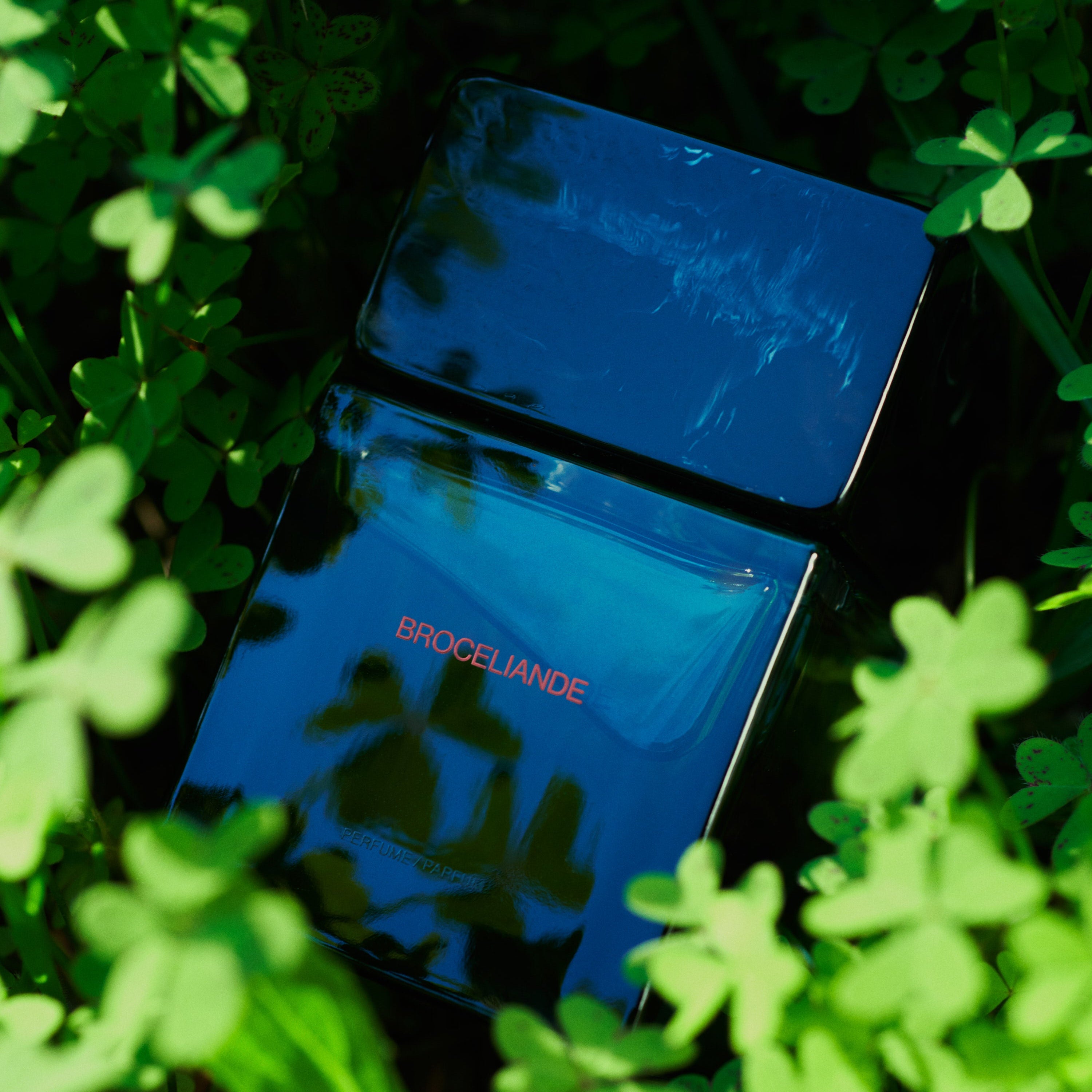 Brocéliande Parfum, Sora Dora, Collection Universelle