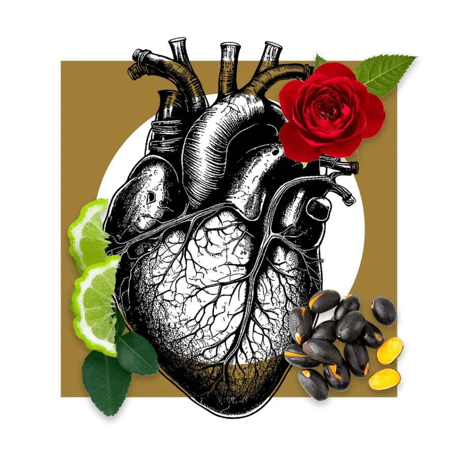 Notte d'Amore, Classic Collection, Pantheon