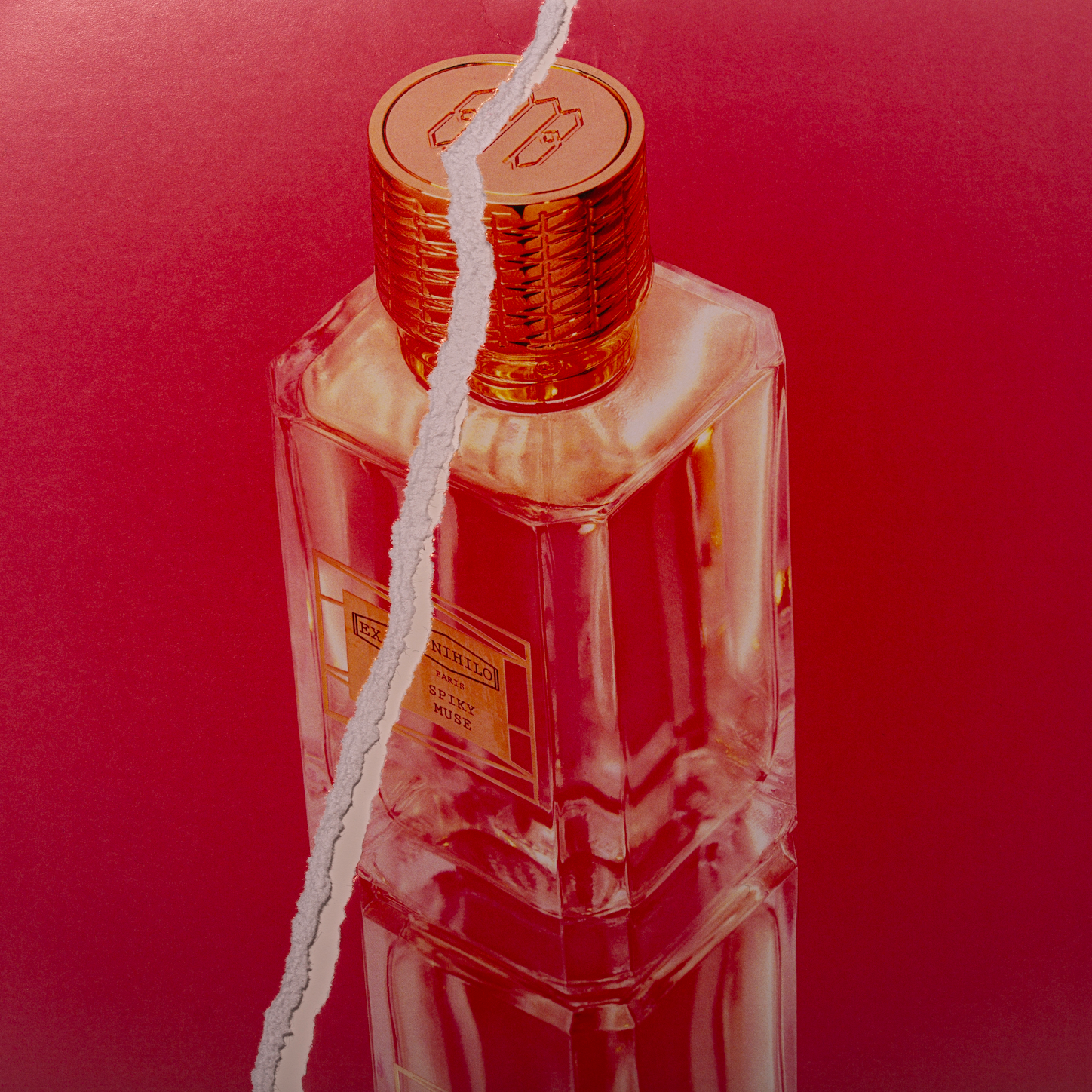 Spiky Muse, Ex Nihilo, Collection Interdites