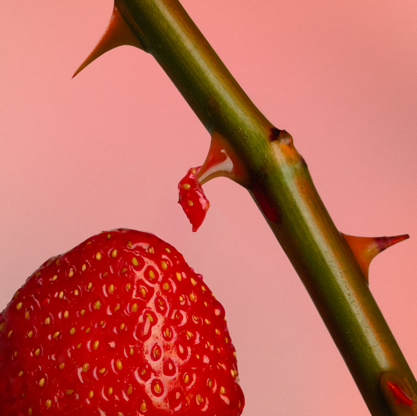 Spiky Muse, Ex Nihilo, Collection Interdites