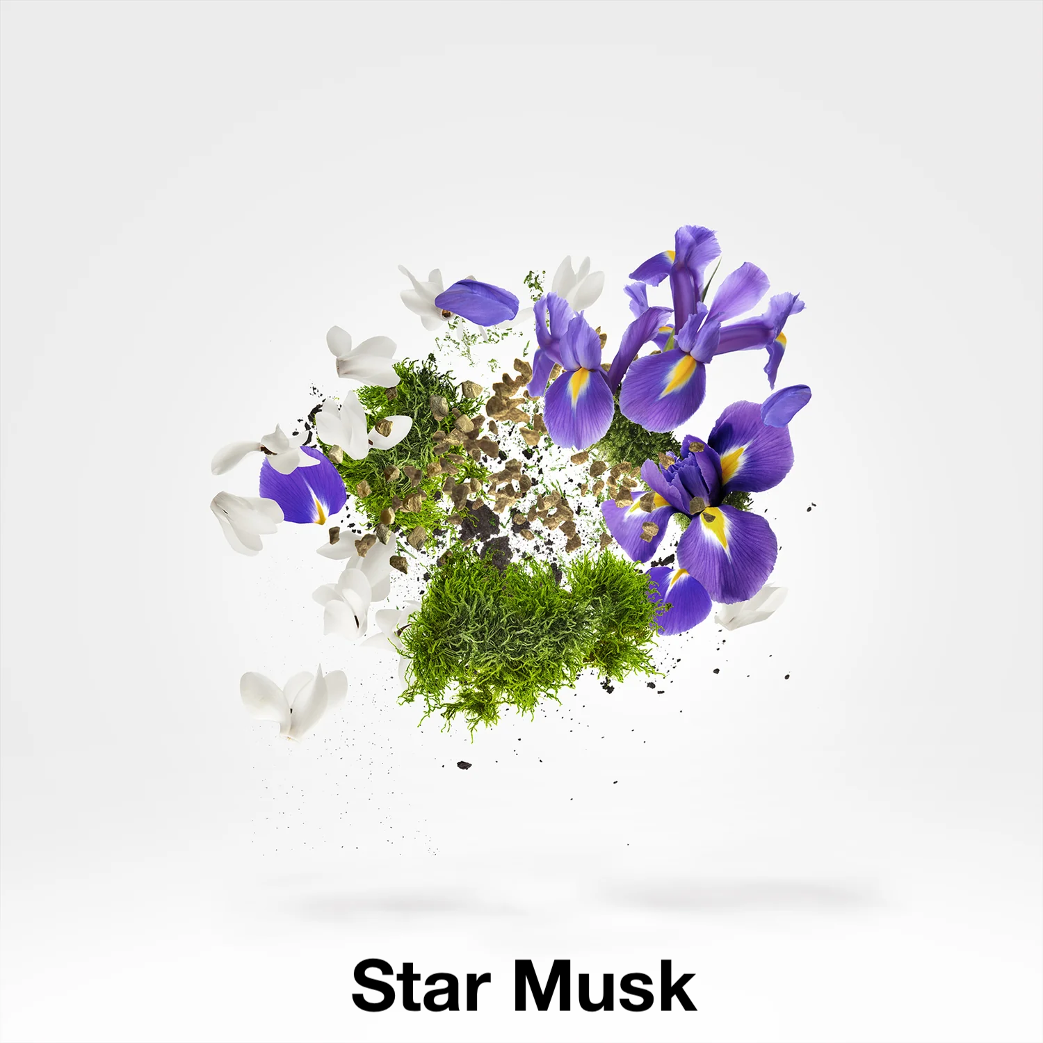 Amber Star & Star Musk, Xerjoff, Mixing Experience