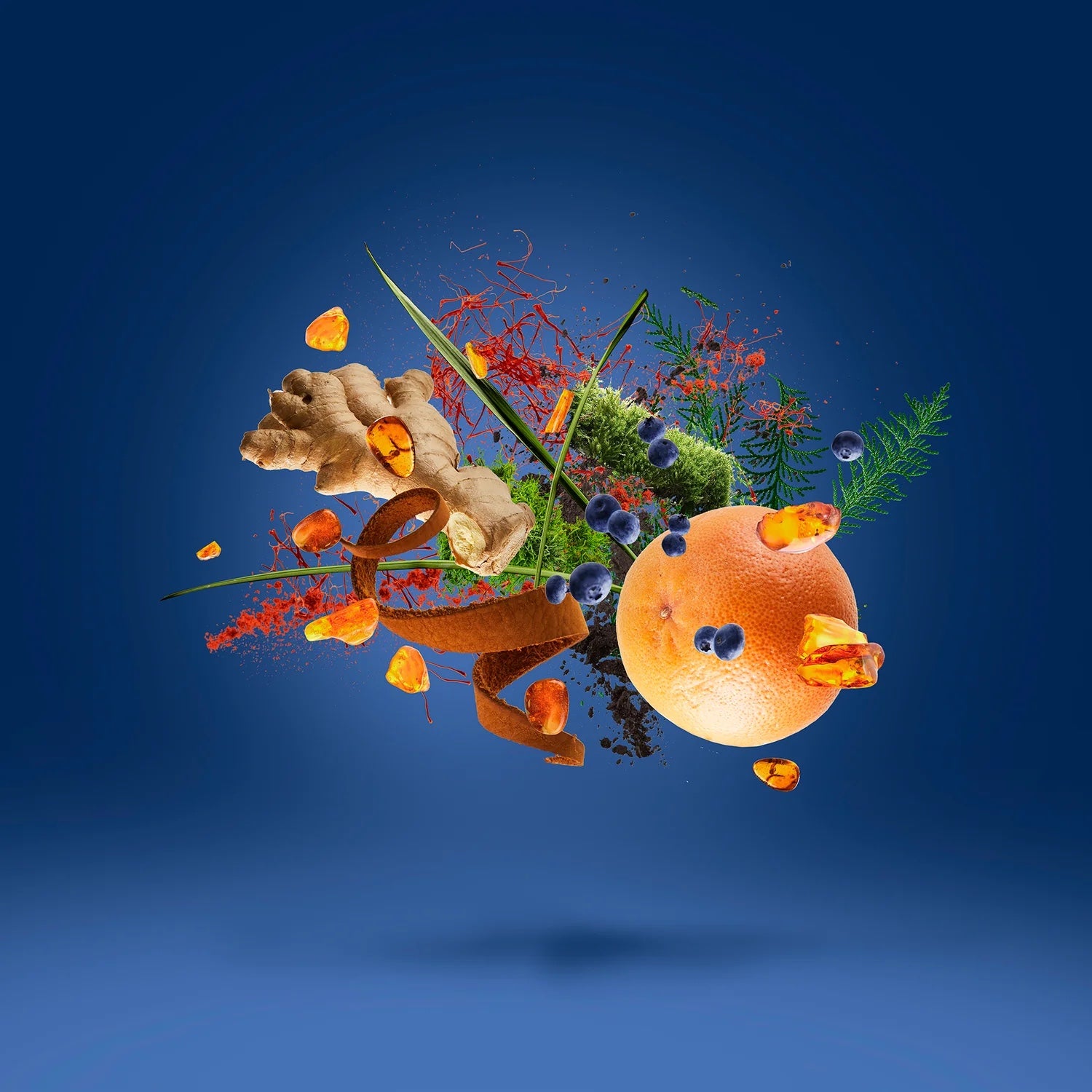 Torino25, Xerjoff Nitto ATP