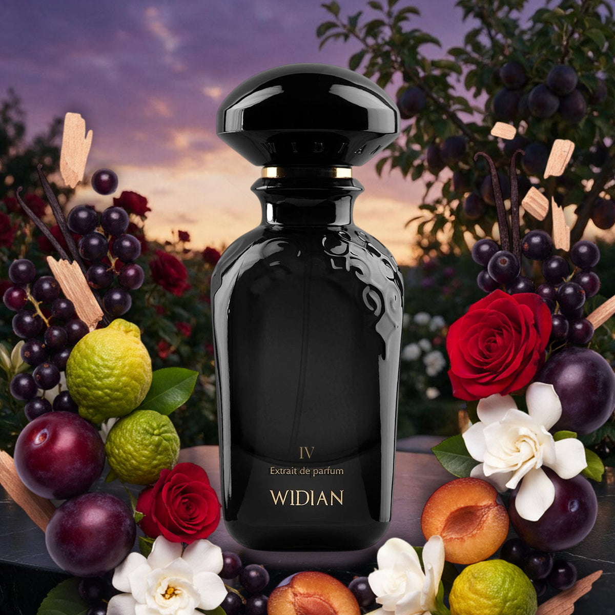 Black IV von Widian auf schwarzem Marmor im Rosengarten bei Dämmerung, mit Johannisbeeren, Pflaumen, Rosen und Gardenien