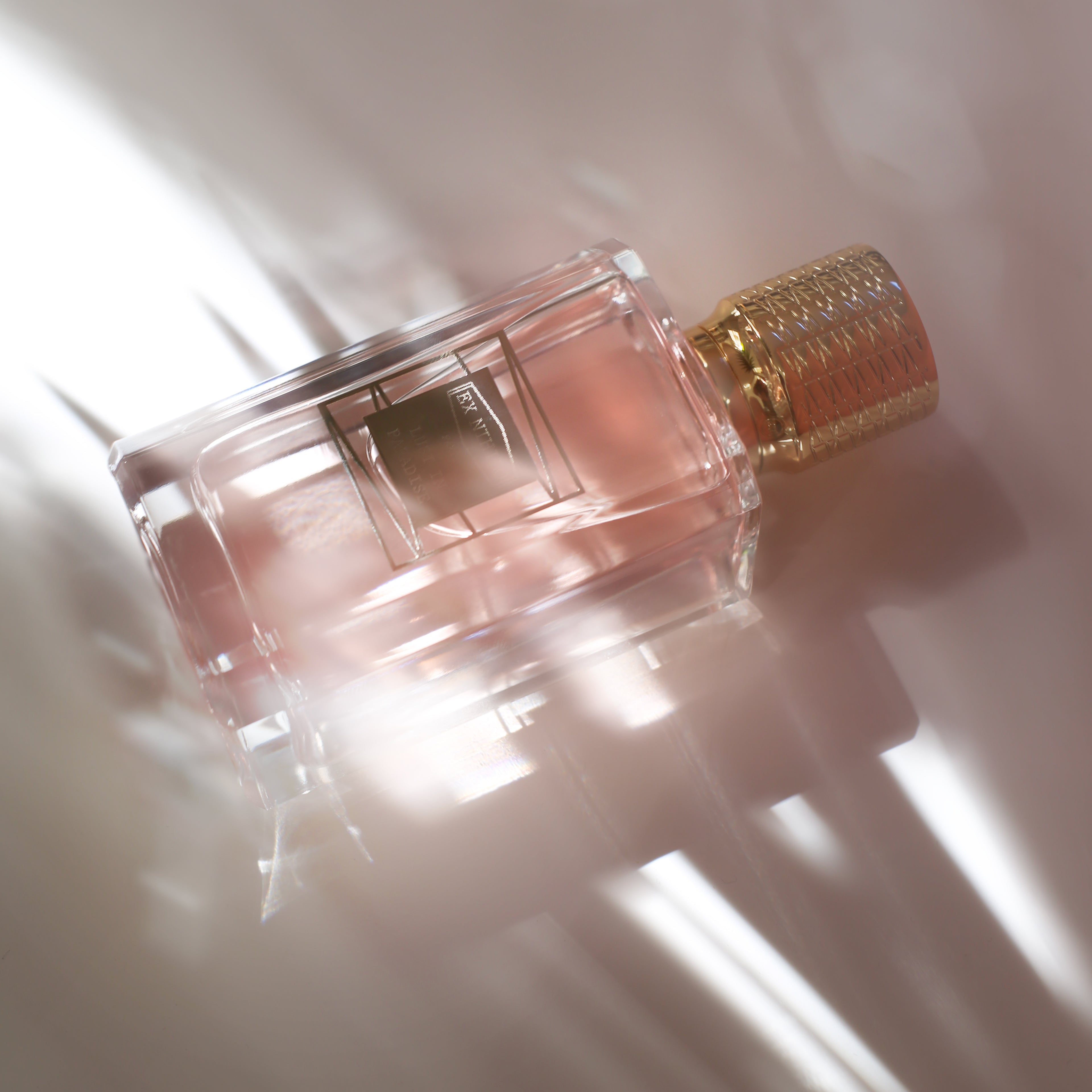 Lust in Paradise, Ex Nihilo, Collection Interdites