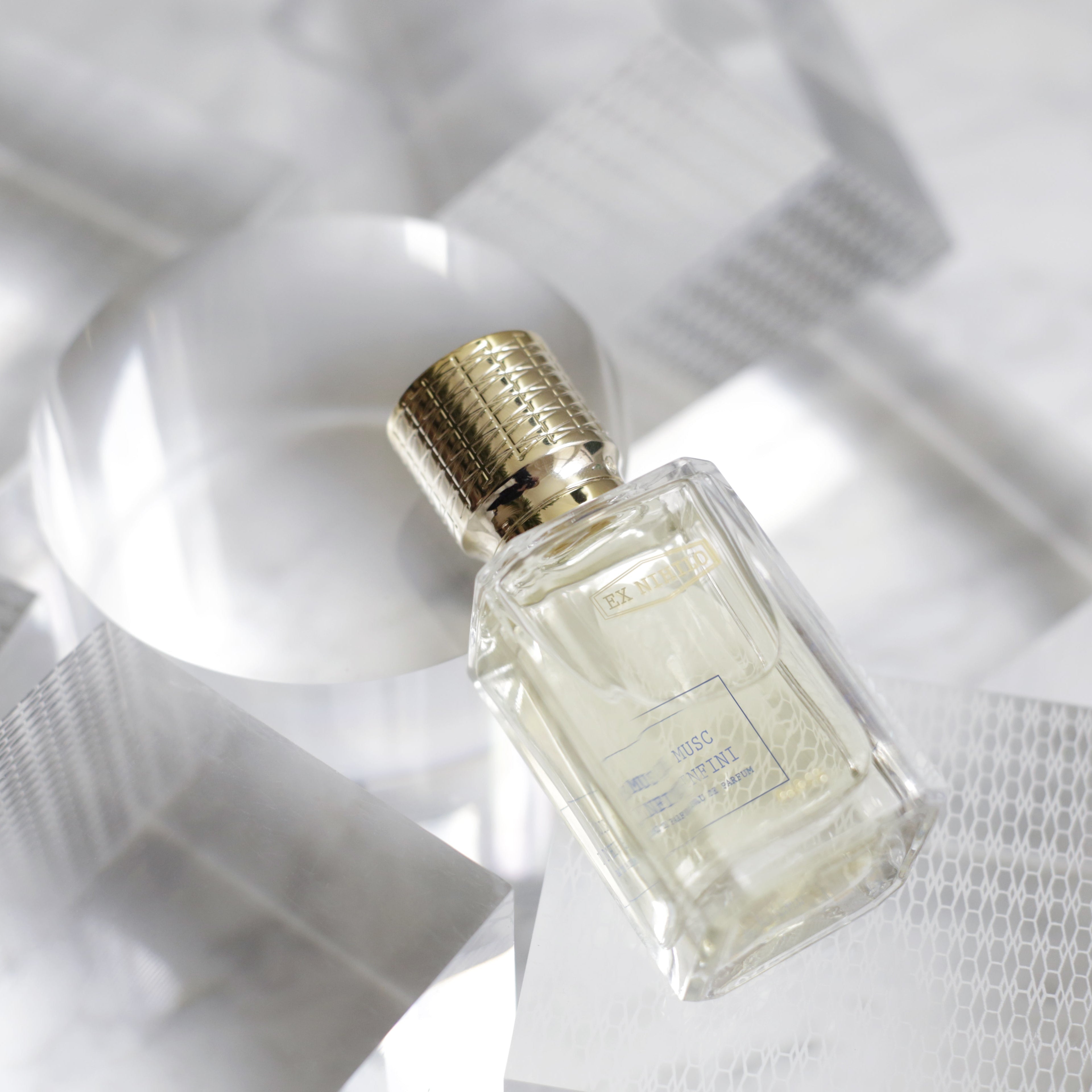 Musc Infini, Ex Nihilo, Collection Initiale