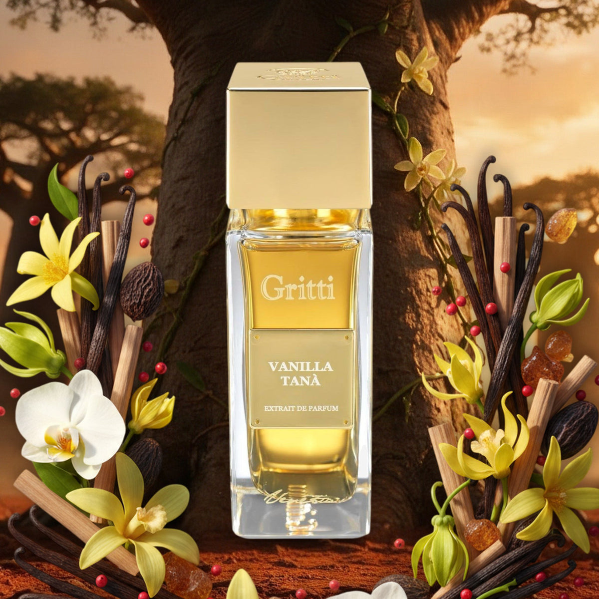 Vanilla Tana von Gritti – Flakon mit Vanilleschoten, Orchideen, Ylang-Ylang, Sandelholz und Tonkabohnen vor einem Baobab
