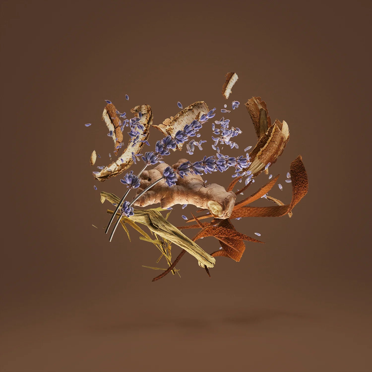 Homme, Xerjoff 17/17 Stone Label