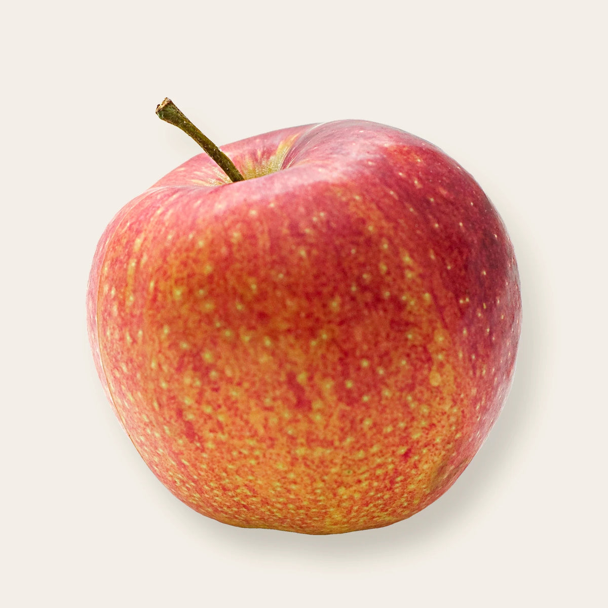 Ein ganzer roter Apfel mit Stiel auf hellem Leinen