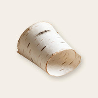 Birch