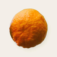 Bitter Orange
