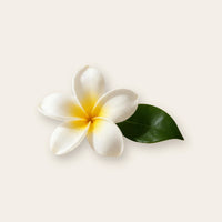 Frangipani