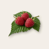 Himbeere