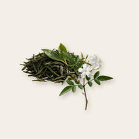Jasmin-Tee