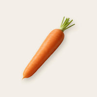 Carrot Seeds