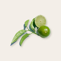 Limette