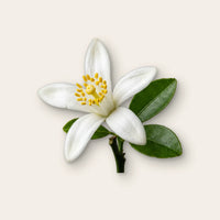 Neroli