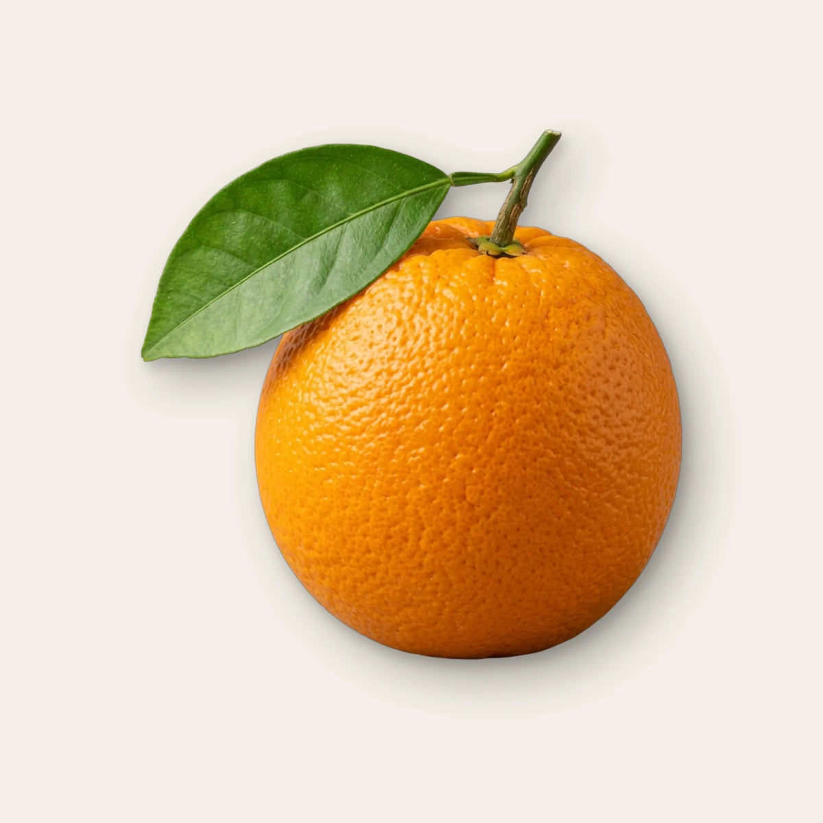 Orange (Citrus × sinensis) – Duftnote, Studiobild auf Leinen, Bild generiert