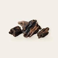 Oud aus Laos