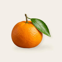 tangerine
