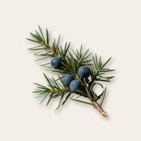 Juniper