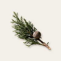 Cypress